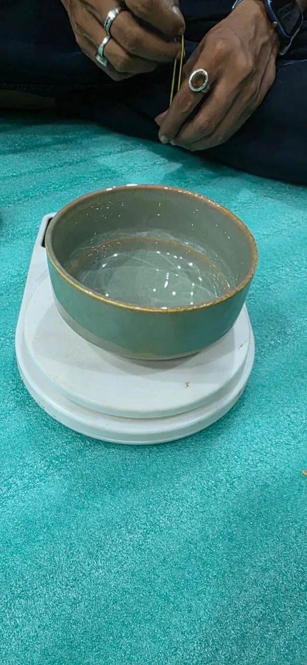 "Sage Minimalist" Soup Bowl